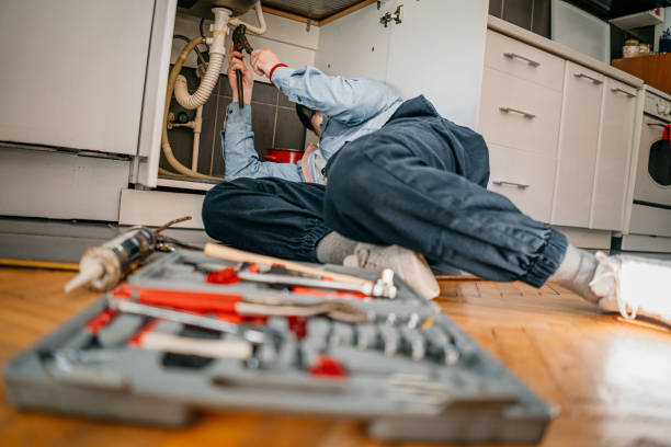 Best Pipe Repair Near Me  in South St Paul, MN